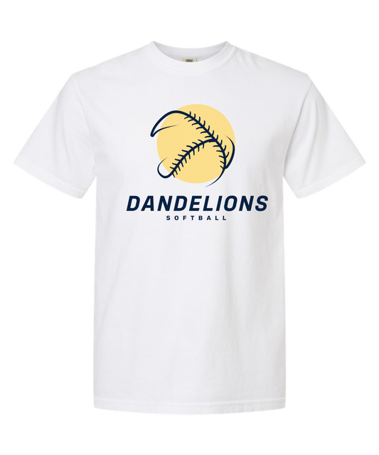 Dande-Lions Softball Power Hit